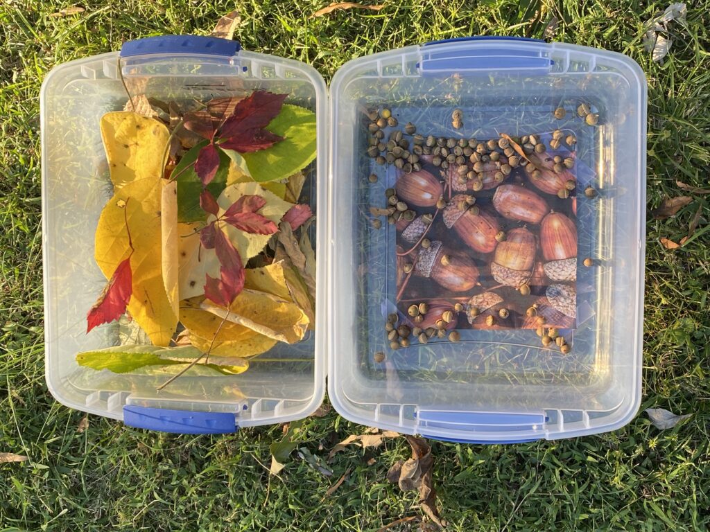 autumn activities for preschoolers scavenger hunt activity bins