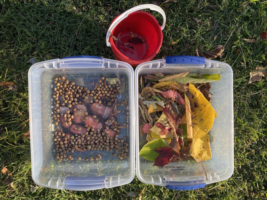autumn activities for preschoolers bins with items we found